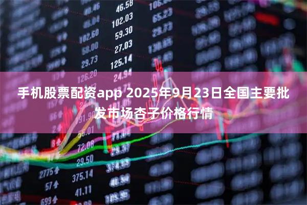手机股票配资app 2025年9月23日全国主要批发市场杏子价格行情