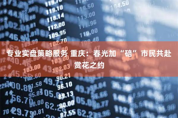 专业实盘策略服务 重庆:春光加 “碚” 市民共赴赏花之约