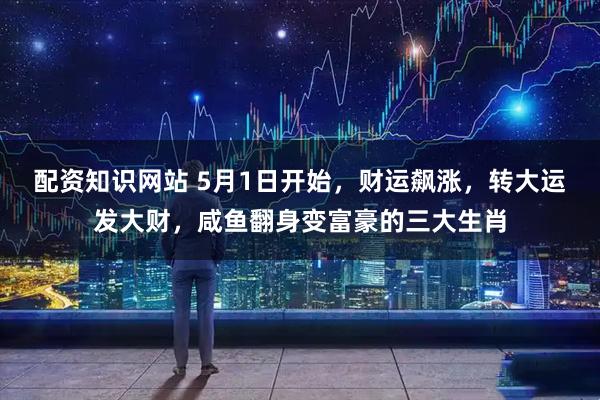 配资知识网站 5月1日开始，财运飙涨，转大运发大财，咸鱼翻身变富豪的三大生肖